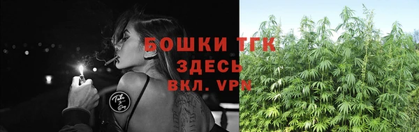 стафф Богородицк