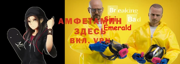 твердый Богородск