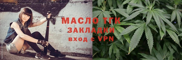 твердый Богородск