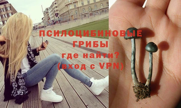 стафф Богородицк