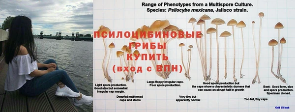 твердый Богородск
