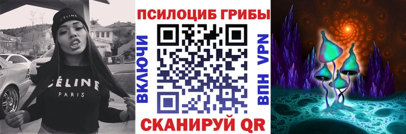 Псилоцибиновые грибы Psilocybine cubensis  Купить  Ачинск 